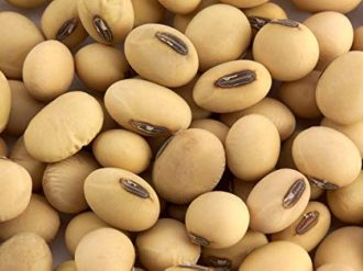 41lWSMRXG7L._AC_UF1000,1000_QL80_